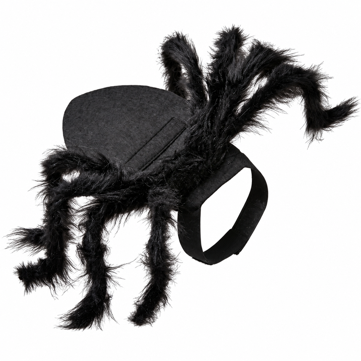 Costume da ragno per gatti