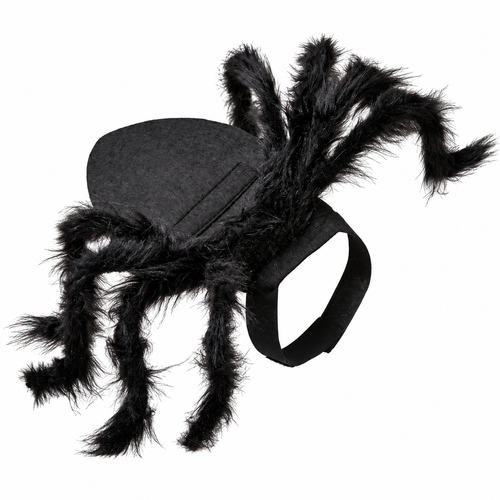 Costume da ragno per gatti
