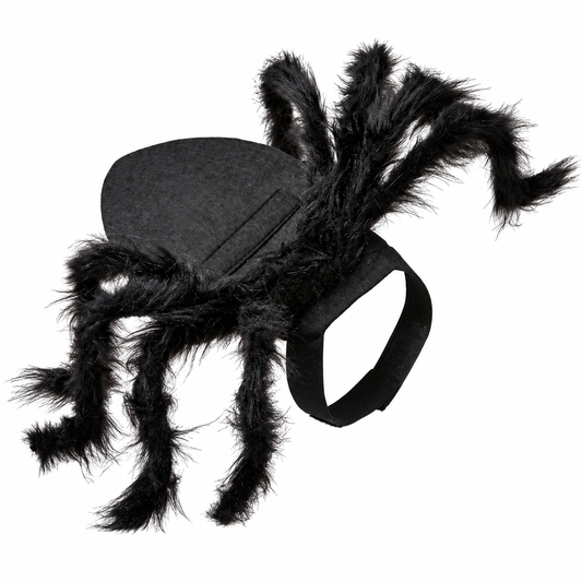 Costume da ragno per gatti